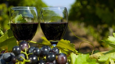 El fin de semana se realizará la Feria de Vinos Orgánicos y Sustentables