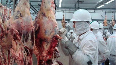 La faena de ganado bovino bajó 2,3% respecto de junio pero subió 16,3% interanual