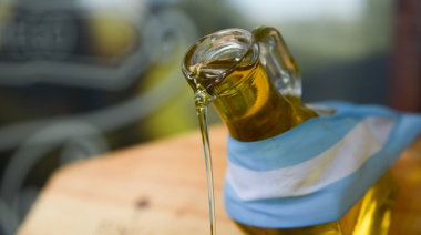 El aceite de oliva bonaerense se posiciona con el apoyo del INTA