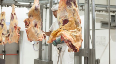 En julio creció la exportación de carne vacuna impulsada por China