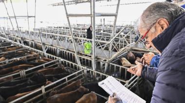 Tras la devaluación, el precio de la hacienda sube un 20%