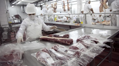 Argentina comenzará a exportar carne aviar a Corea del Sur