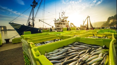 La producción pesquera cayó en agosto 19,7% interanual y acumula baja de 9,8% en el año