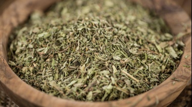 El mate cumple 10 años como "infusión nacional" y celebra su día con exportaciones en alza