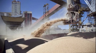 Las exportaciones bonaerenses superaron los US$ 22.000 millones