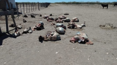 Sociedades rurales de Valle Medio de Río Negro expusieron las pérdidas producidas por la ruta del gasoducto