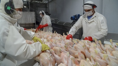 Argentina logró la reapertura del mercado de productos avícolas del Reino Unido