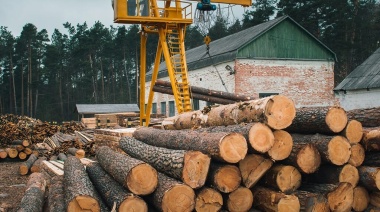 La industria de la madera, en crisis: la actividad se derrumbó 40% en el primer bimestre