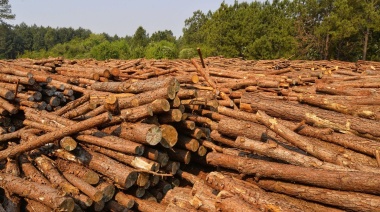 El sector forestal le pidió al Gobierno que avance en una ley de Promoción de Grandes Inversiones
