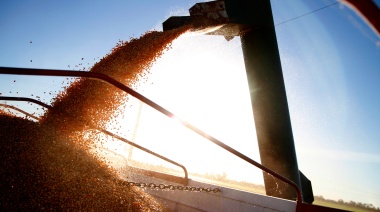 Argentina obtiene habilitación de China para todos sus eventos biotecnológicos de maíz