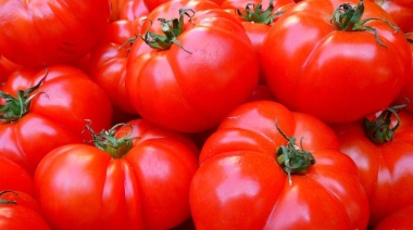 El motivo del fuerte aumento del precio del tomate y otras hortalizas