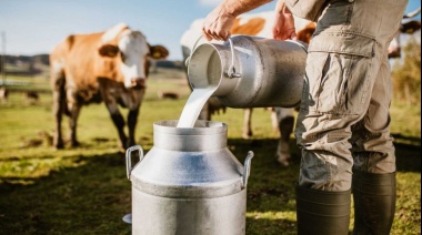 Por la caída en el consumo de lácteos, la producción de leche retrocedió 14,5%