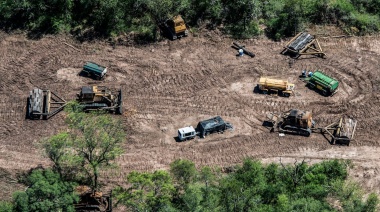 Una ley europea contra la deforestación pone en jaque a las exportaciones argentinas