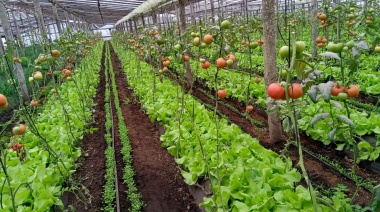 Firman un convenio para relevar el cinturón frutihortícola de La Plata