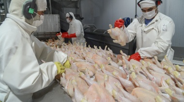 El Gobierno nacional reabre el mercado de Japón para carne aviar