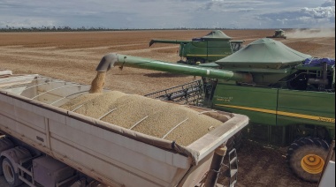 El campo apura la venta de soja antes que vuelvan a subir las retenciones