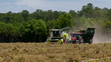 Productores del norte piden eliminar retenciones para evitar el colapso productivo