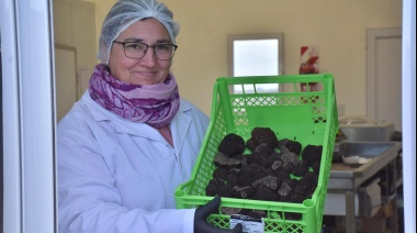 El sudoeste bonaerense pone su mira en el “diamante negro”