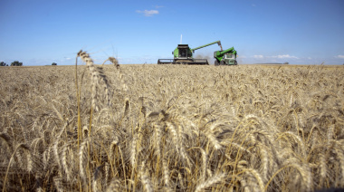 “No hay margen”: el campo renovó sus críticas por la suba de las retenciones