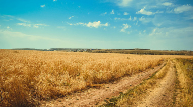 Leve caída en la actividad inmobiliaria rural