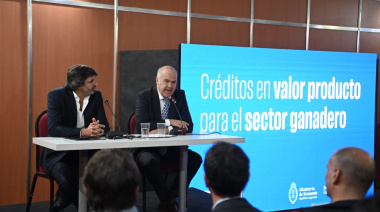 El Gobierno Nacional lanzó créditos en kilos de novillo para aumentar el stock ganadero
