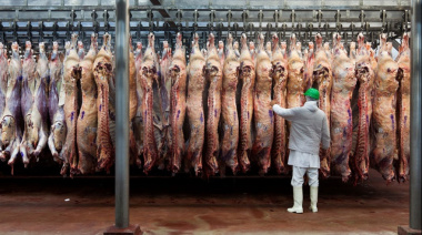 Baja de retenciones a la carne: una señal positiva con impacto ‘limitado’