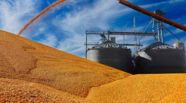 Oficializan la baja de retenciones a las exportaciones de soja, carne, maíz, sorgo y girasol