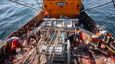 Acuerdo en la pesca: se reactivan los barcos y la industria del langostino respira