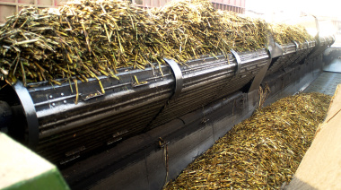 Las exportaciones agroindustriales crecieron 4,5% en volumen durante el primer semestre de 2025