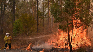 Día Internacional de la Prevención de Incendios Forestales