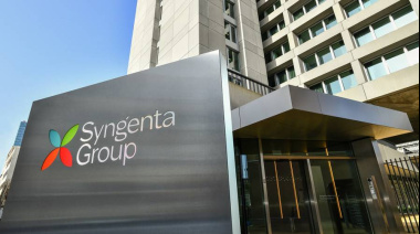 Llega una innovadora plataforma de e-comerce a la Argentina