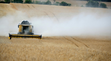 Cae la confianza de los productores en la marcha de la economía: 60% menos de expectativas de inversión