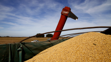 Las exportaciones agroindustriales en crecimiento: crecieron un 6% en volumen