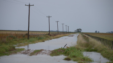 El Gobierno Nacional oficializó la emergencia agropecuaria para Buenos Aires y San Juan