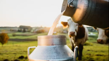 El precio de la leche cruda tuvo en agosto su punto más bajo en 7 años