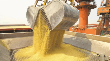 El agro liquidó US$ 7.100 millones en septiembre