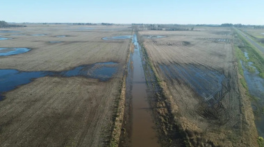 Nación declaró a 10 municipios bonaerenses en emergencia agropecuaria