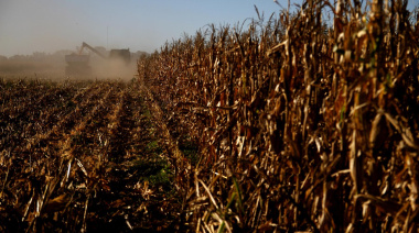 Las exportaciones agroindustriales crecieron 9% en volumen en los primeros 8 meses del año