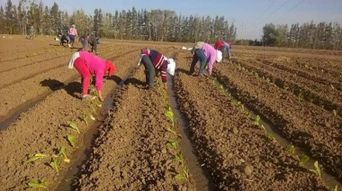 Sánchez Jauregui: “Las mujeres rurales sostienen la vida y la producción, pero siguen siendo invisibilizadas”