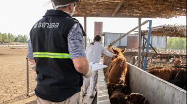 Aftosa: El campo cuestionó declaraciones de la la Secretaria de Agricultura de Estados Unidos