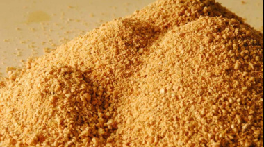 Asia desplaza a Europa en el mercado de harina de soja argentina