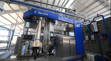 Tambos robotizados: la revolución tecnológica que transforma la lechería argentina