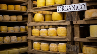 Se viene la nueva edición de la Fiesta del Queso Tandilero