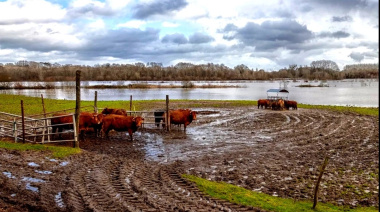 Las inundaciones ceden en el centro oeste bonaerense, aunque persisten los problemas
