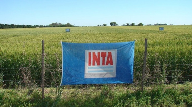 Advierten que se viene "un brutal ajuste" en el INTA