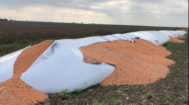 CRA presentó un proyecto para incorporar la figura de “vandalismo rural” en el Código Penal