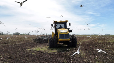 La industria de ‘fierros’ se queja por el impacto de las importaciones