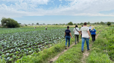 Cordón frutihortícola de La Plata: más del 91 % de informalidad laboral y trabajo infantil