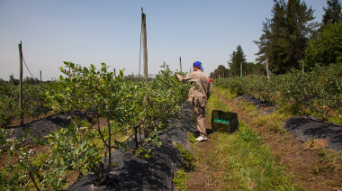El RENATRE actualizó los montos de la prestación por desempleo y lleva el máximo a $356.895