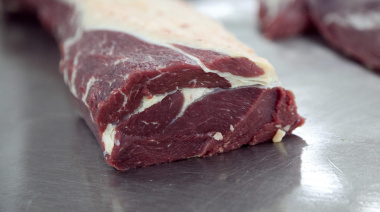 En 2025, Argentina alcanzó récord de exportaciones de carne bovina en divisas